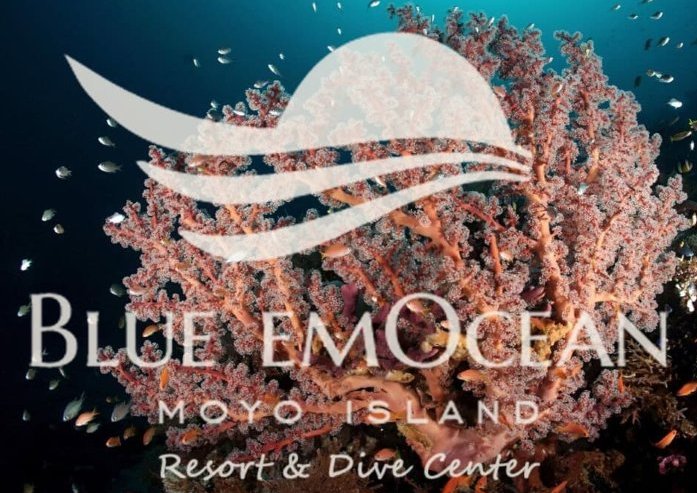 Cover Blue EmOcean Resort & Dive Center Diving & Resort