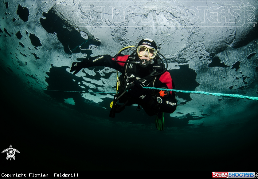 A Freshwater Austria