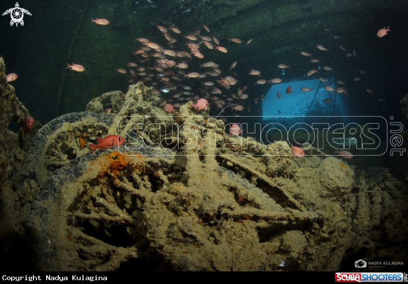 A Motocycles on Thistlegorm