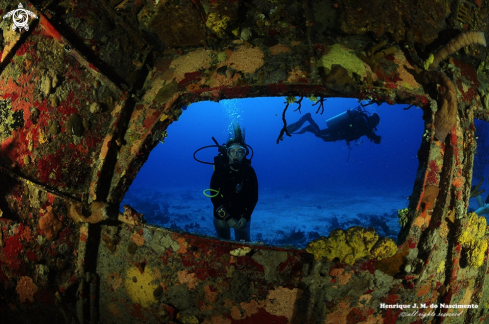 A Homo sapiens | Just enjoy the beauty of Diving