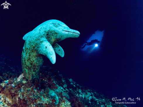 A Cova del Dofí