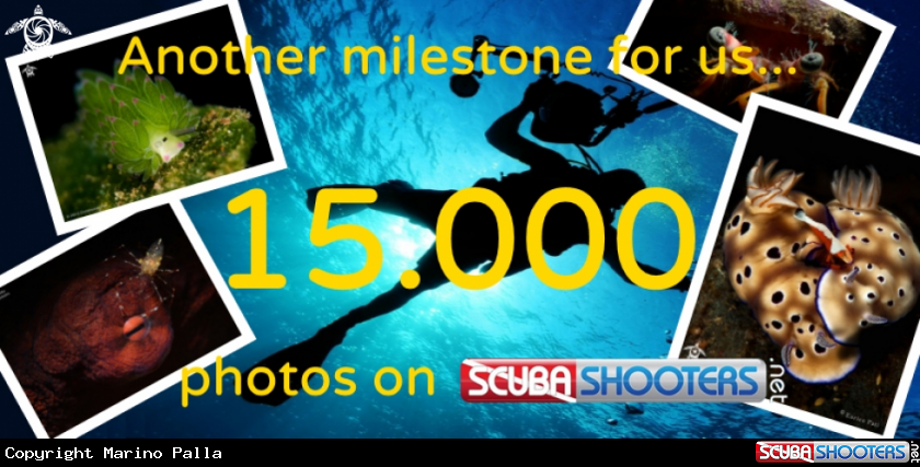 A 15000 photos in our database