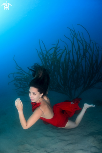 A Free Diver model