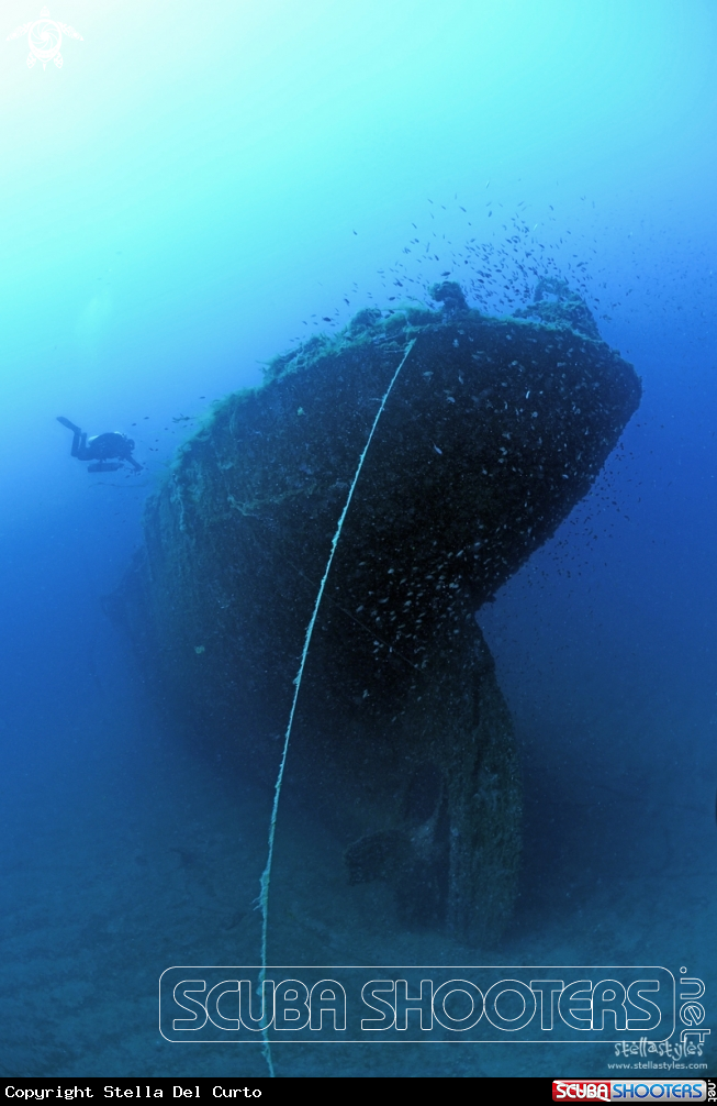 A WWII wreck, lying at 42 meters depth