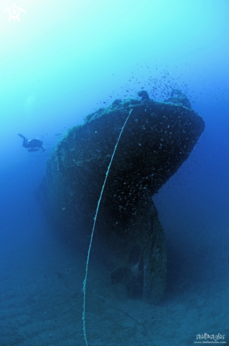 A WWII wreck, lying at 42 meters depth