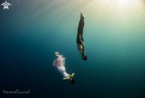 A free- freediving