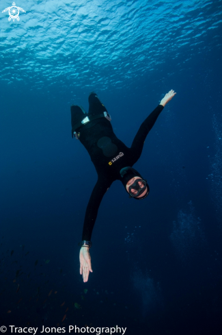 A Free Diver