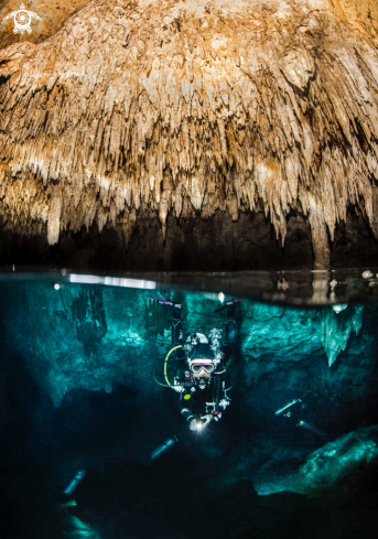 A divers in cenote 