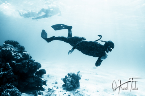 A human | freediver