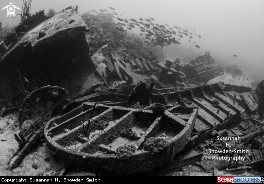 Oro Verde Shipwreck