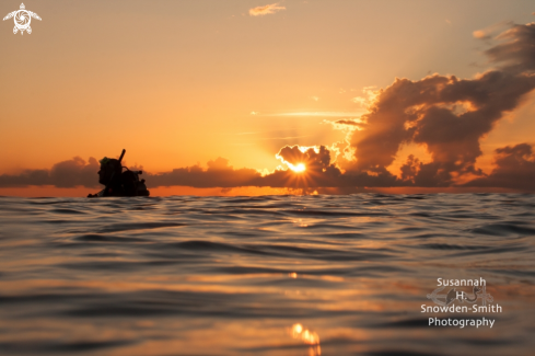 A Diver at sunset