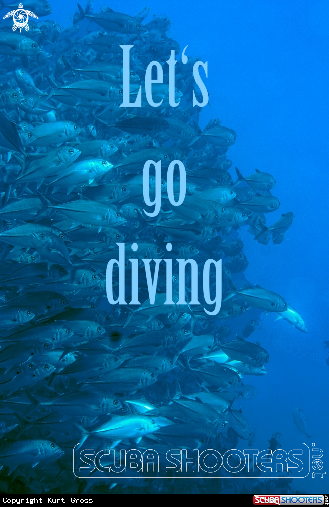 Let's go diving