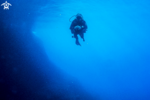 A Diver in the darkness
