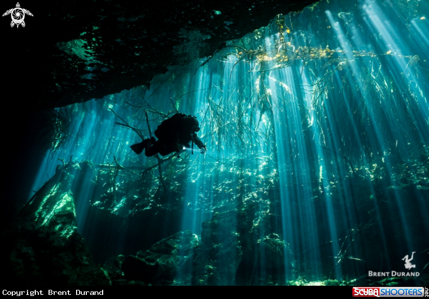 Cenote Diving