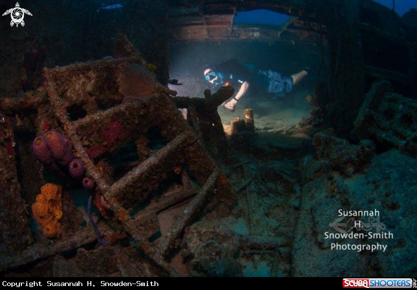 Diver Exploring Nicholson Shipwreck
