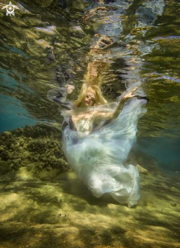 A Underwater Dance
