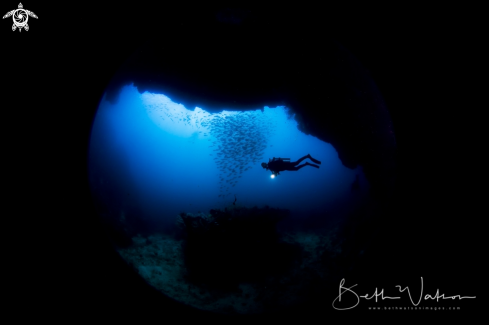 A Diver with light