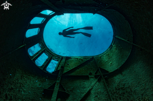 A freediving photography