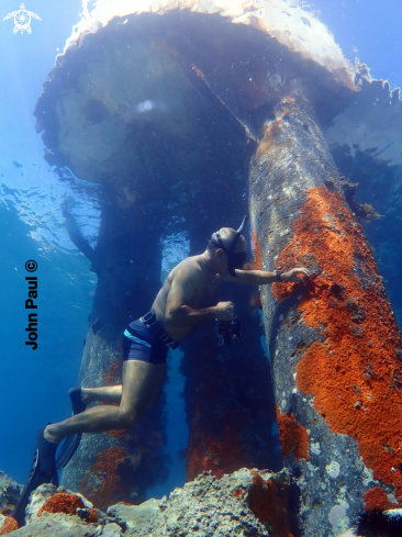 A Freediving | Piliers