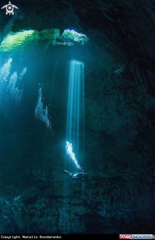 Diver at cenote Pit