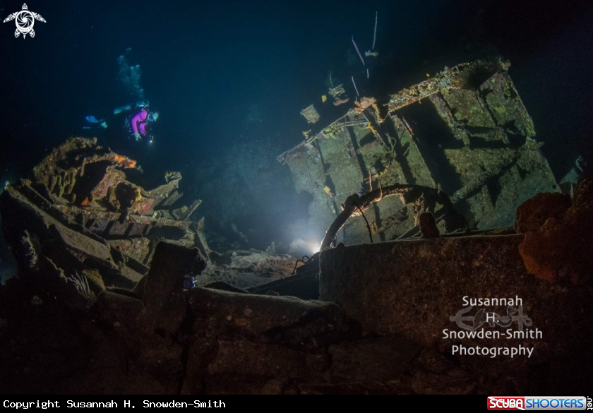 Oro Verde Shipwreck At Night