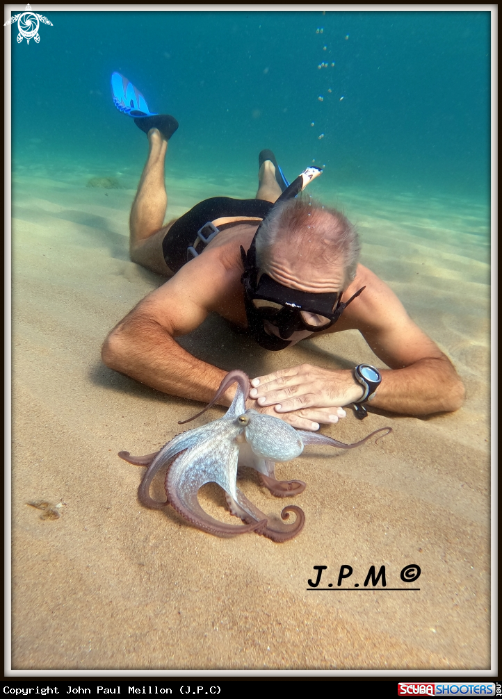 Underwater encounter