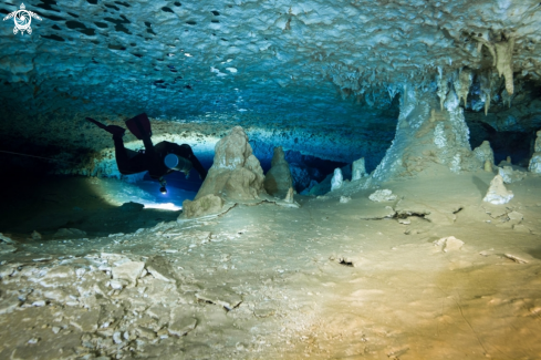 A Cave diving | Mayan Blue cave 