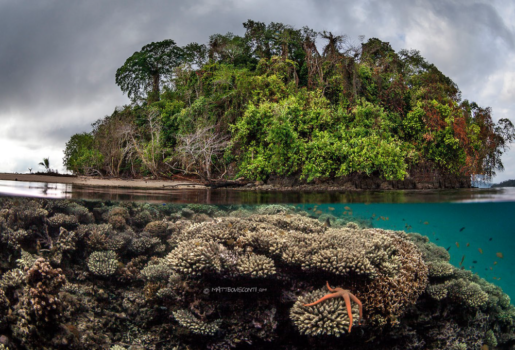 Beauty of Papua New Guinea