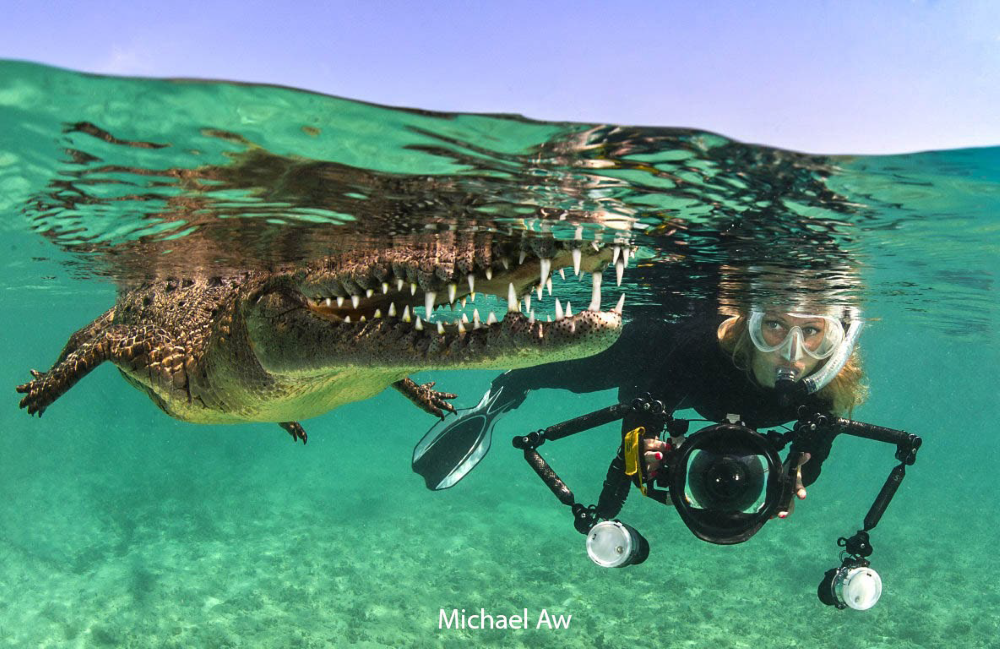 Diving with crocodiles in Cuba