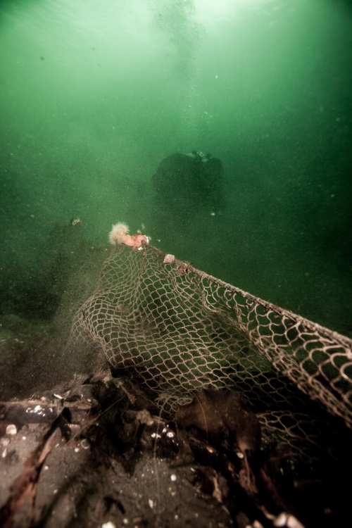 Removing a ghost net in Nesodden - Norway