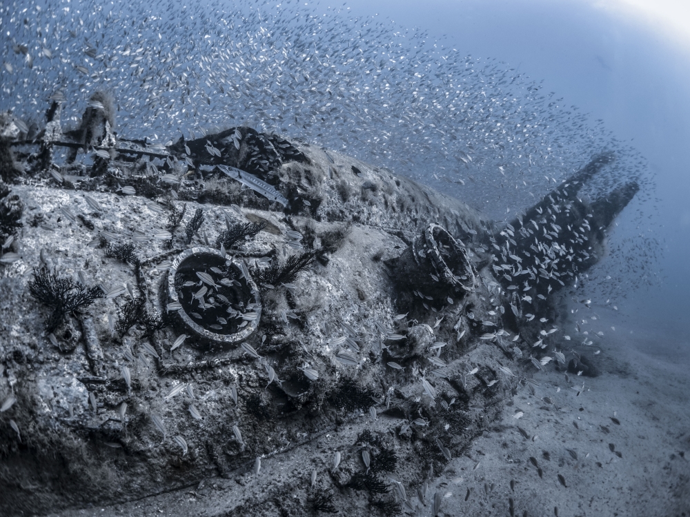 Hatteras wreck of U352