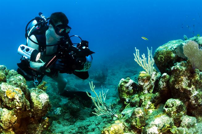 Underwater Photography Guide For Beginners Update 2021