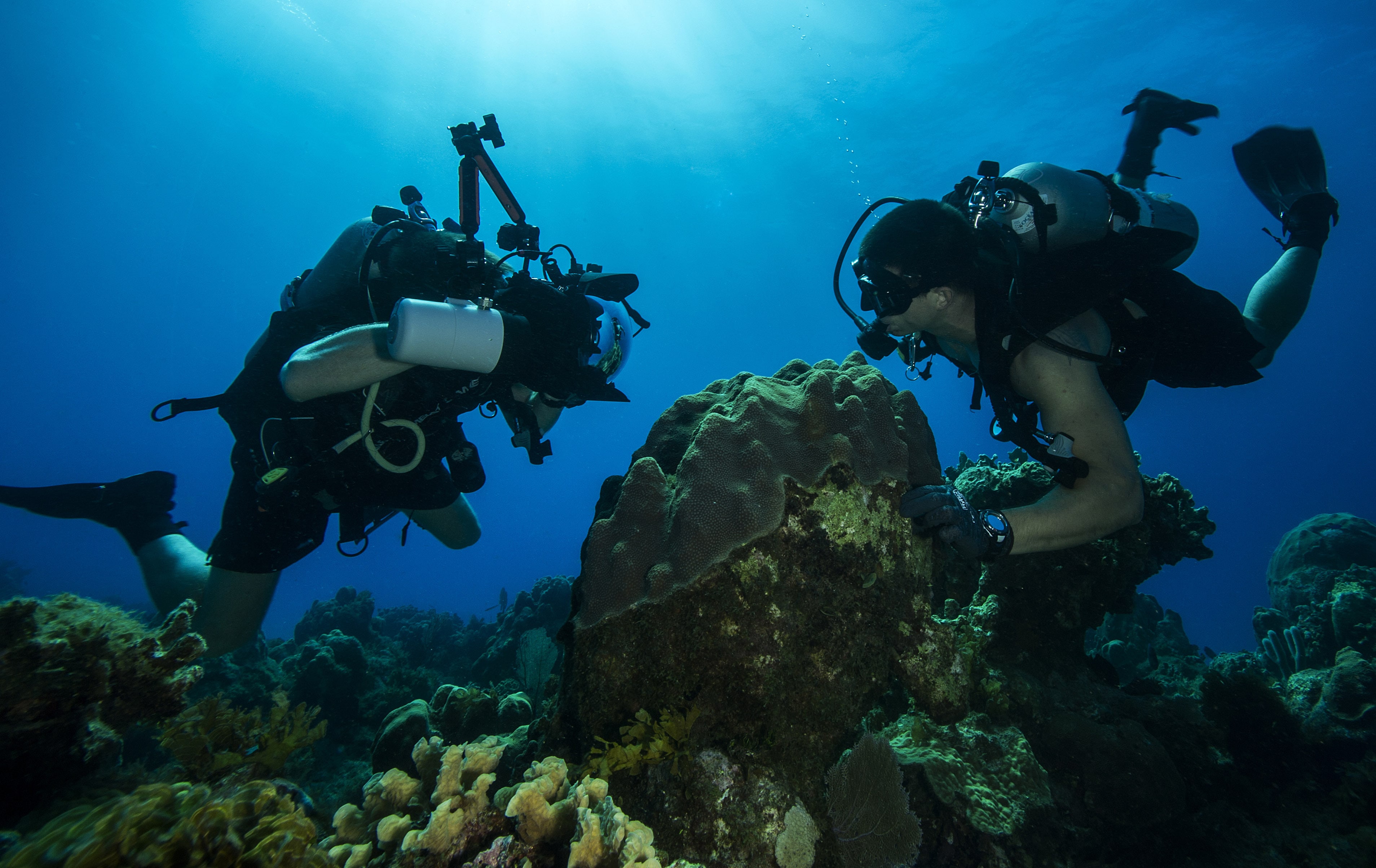 Underwater Photography Guide For Beginners (Update 2020)