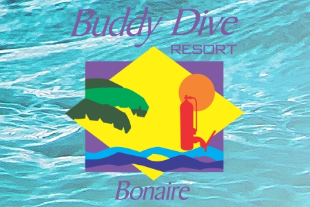 buddy.dive