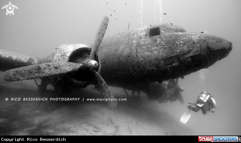 A DOUGLAS Dakota C47 ( DC3 )