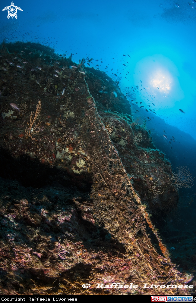 A Abandoned Fisher net