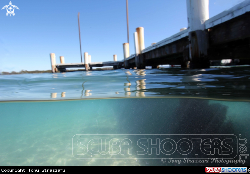 A Pelican Public Wharf