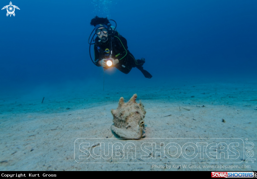 A Helmet Shell with Eliane