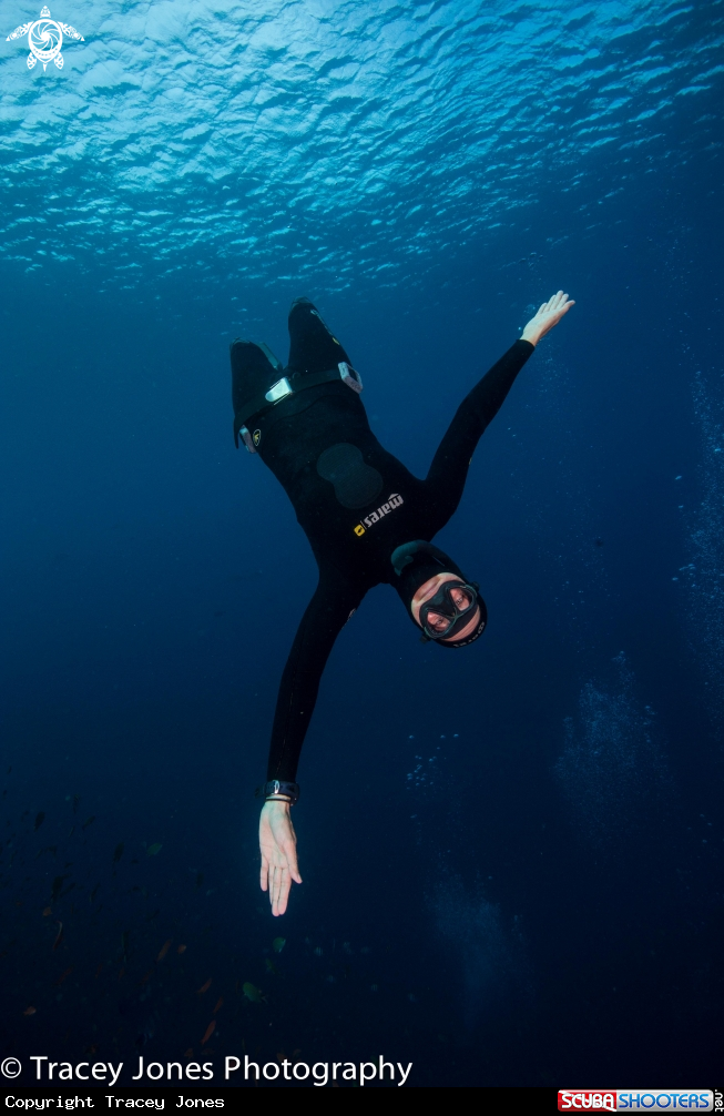 A Free Diver