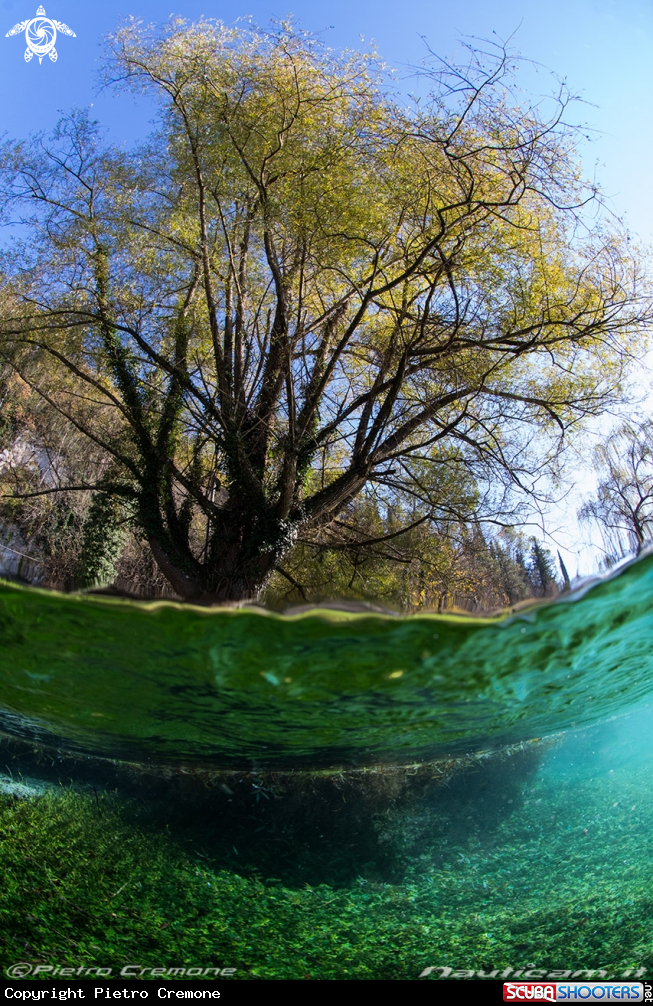 A Il lago di posta Fibreno