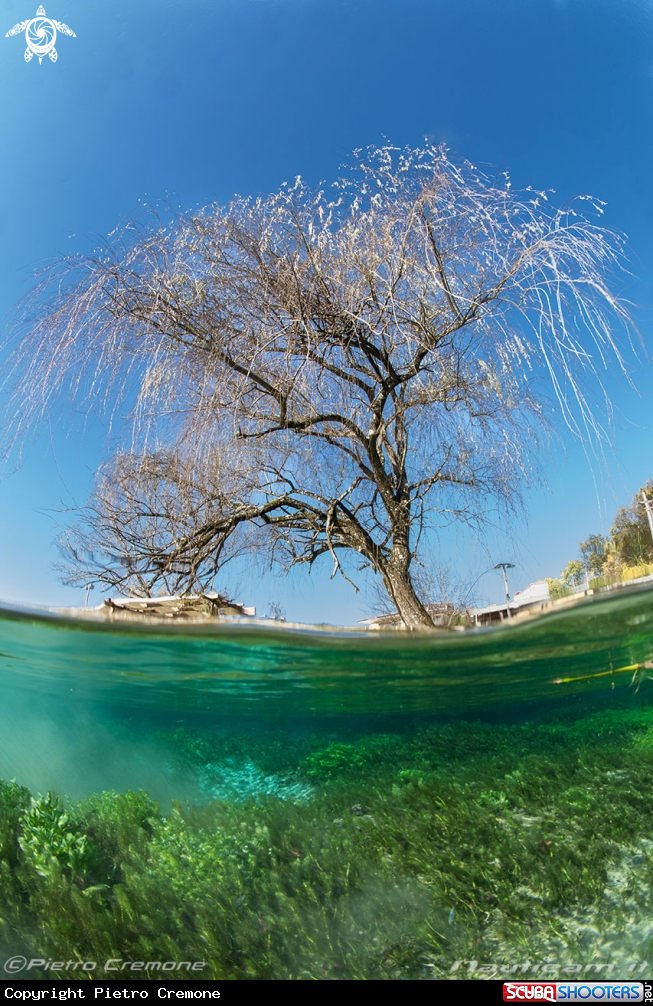 A Il lago di posta Fibreno