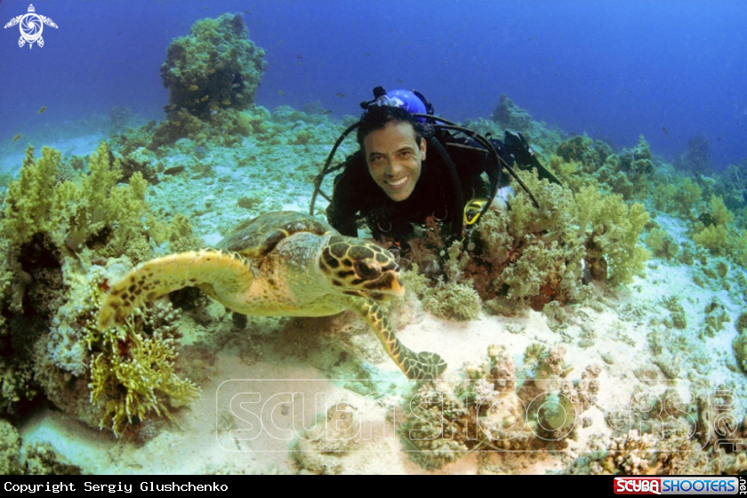 A underwater creature