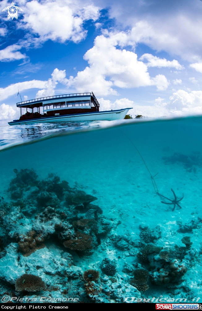 A Maldives scenery