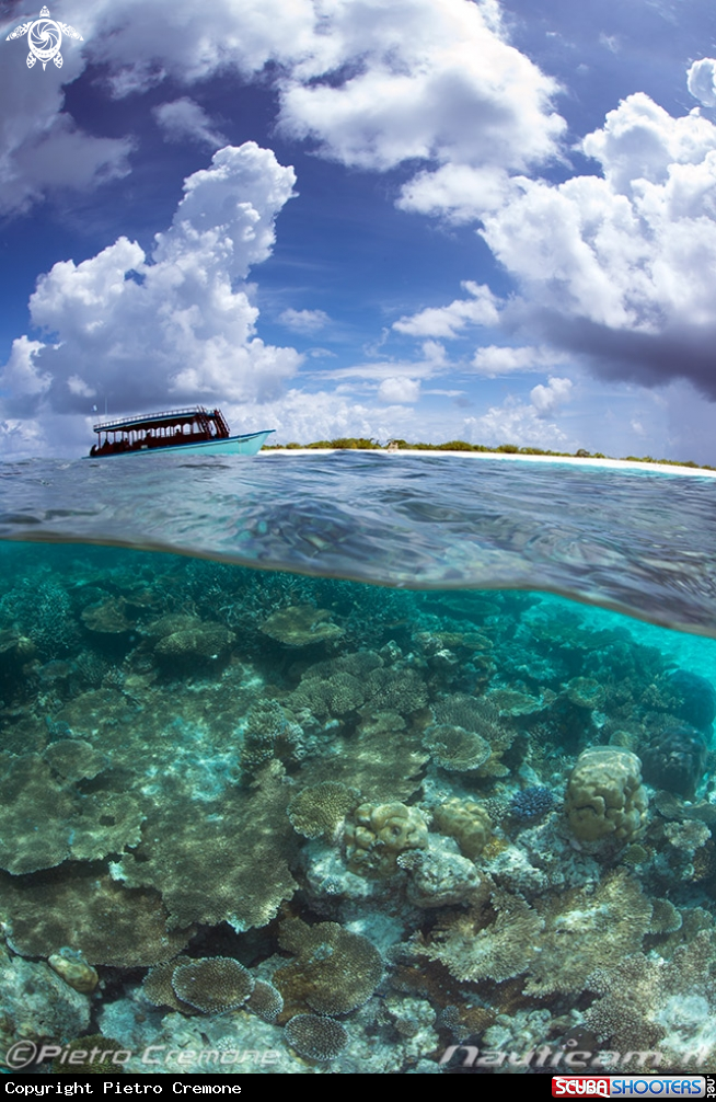 A Maldives scenery