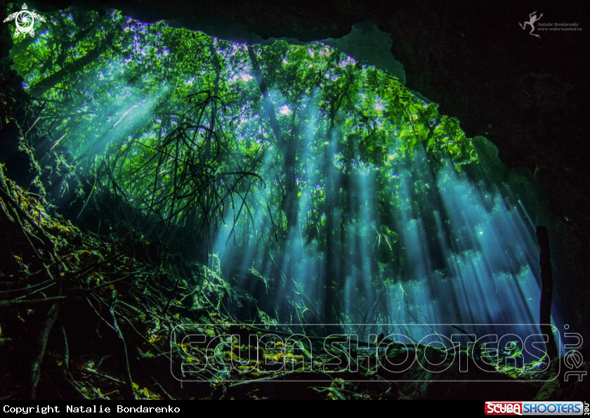 A Cenote Tajma Ha