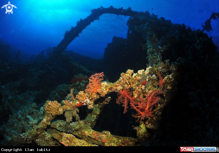 A Carnatic shipwreck