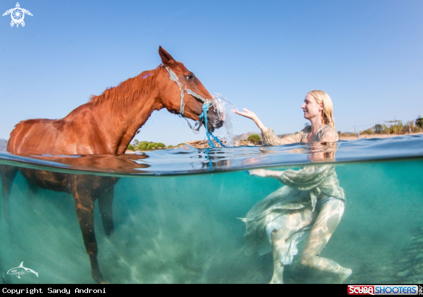 A Human-horse