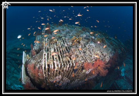 A yolanda wreck