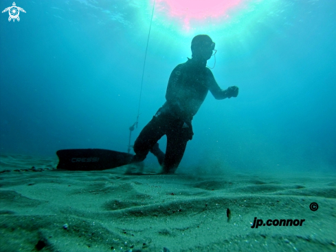 A Freediving