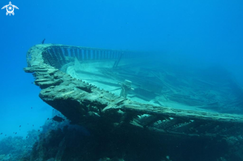 A Wreck diving